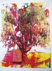 silkscreen: Mulletr&auml;det 55x40 (1/20 1200sek 